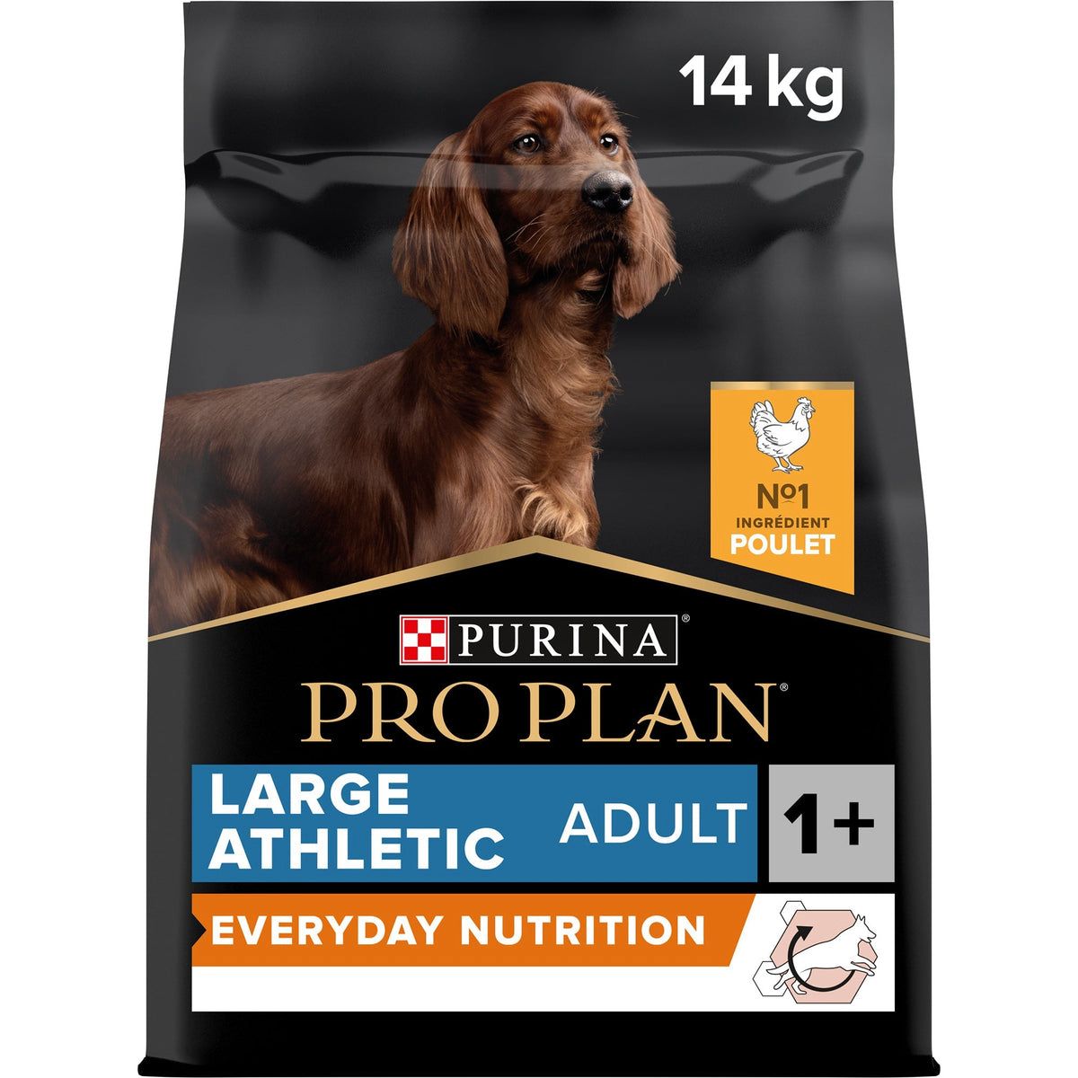 Purina Pro Plan Everyday Nutrition Dry Food with Chicken for Large Athletic Adult Dogs 14 KG