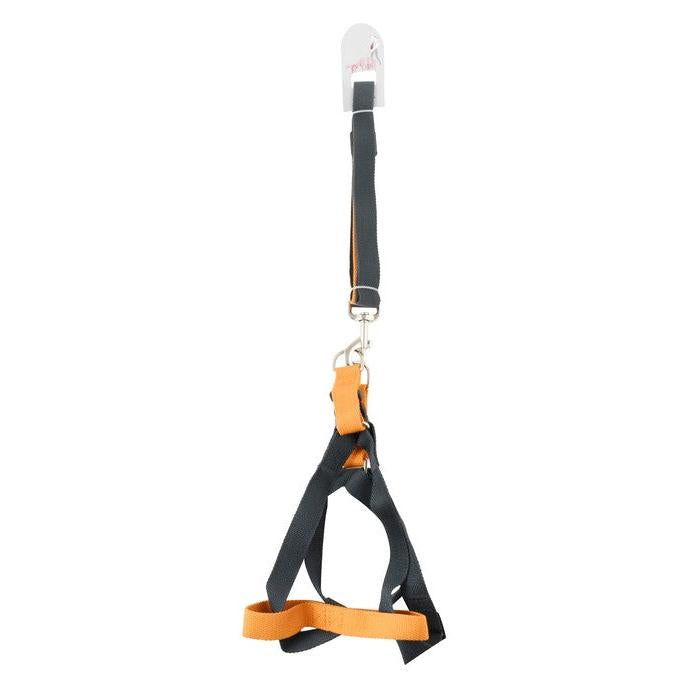 XN Large Orange & Gray Pet Harness with Leash 1 PACK
