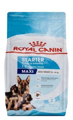 Royal Canin Starter Dry Food for Maxi Breed Mother & Baby Dogs (Up to 2 Months & 26-44kg) 4 KG